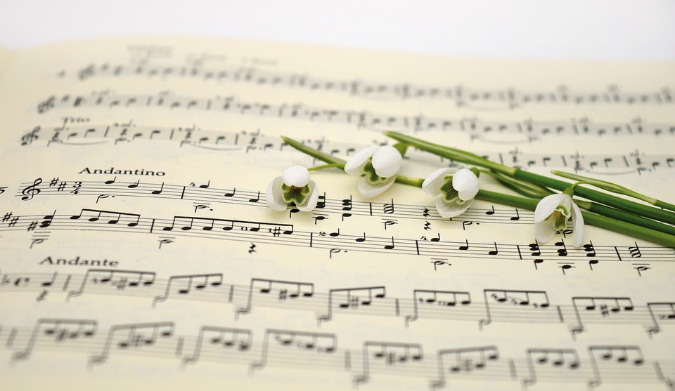 frases bonitas de canciones